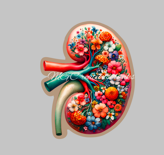 Kidney acrylic blanks for badge reels & vinyl decal, acrylic blank, Kidney decal, vinyl decal, Kidney cast acrylic, badge reel, Nurse badge reel