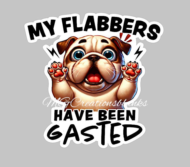 My flabbers have been gasted clear acrylic blanks & vinyl decal, My flabbers have been gasted acrylic blank, motivational DIY blank, inspirational craft blank
