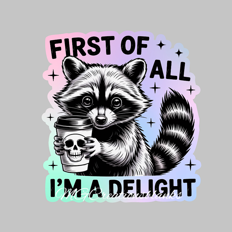 First of all I'm a delight clear acrylic blanks & vinyl decal, I'm a delight acrylic blank, motivational DIY blank, inspirational craft blank