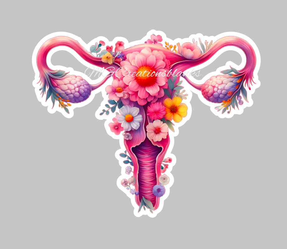 Uterus acrylic blanks for badge reels & vinyl decal, Gynecologist acrylic blank, decal, vinyl decal, Nurse cast acrylic, nurse, Nurse badge reel