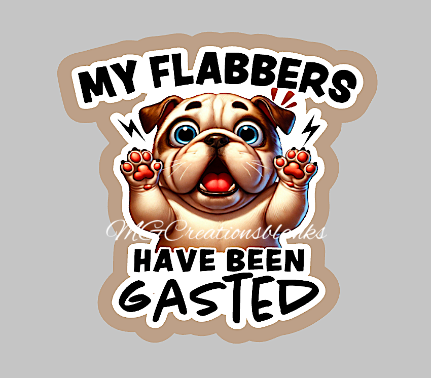 My flabbers have been gasted clear acrylic blanks & vinyl decal, My flabbers have been gasted acrylic blank, motivational DIY blank, inspirational craft blank