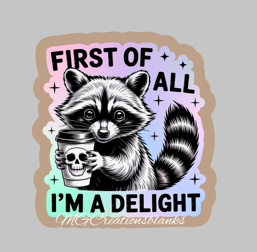 First of all I'm a delight clear acrylic blanks & vinyl decal, I'm a delight acrylic blank, motivational DIY blank, inspirational craft blank